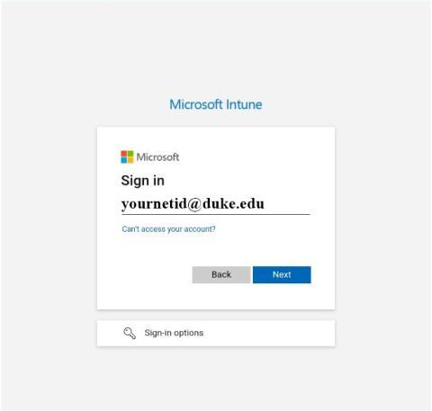 MS login