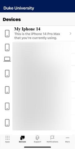 iOS device info